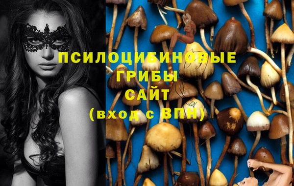 соль ск Воткинск