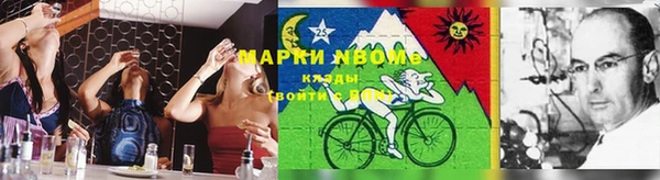 PSILOCYBIN Болотное