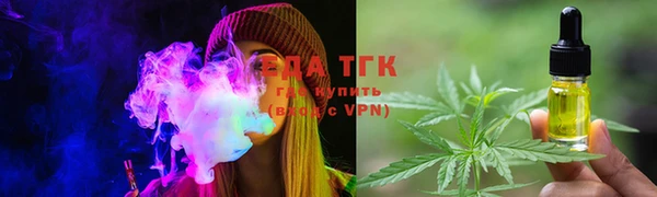 PSILOCYBIN Болотное