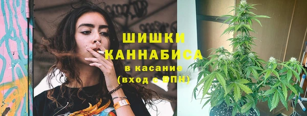 PSILOCYBIN Болотное