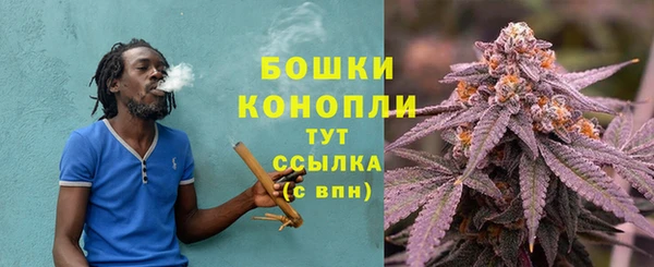 PSILOCYBIN Болотное