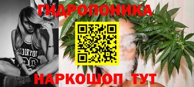 гашишное масло Гусев