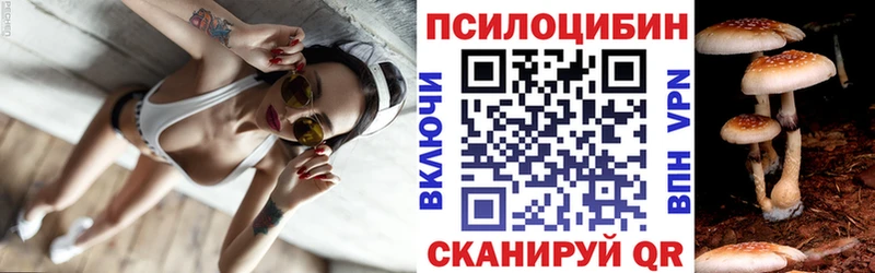 Галлюциногенные грибы MAGIC MUSHROOMS  закладки  Кириши 