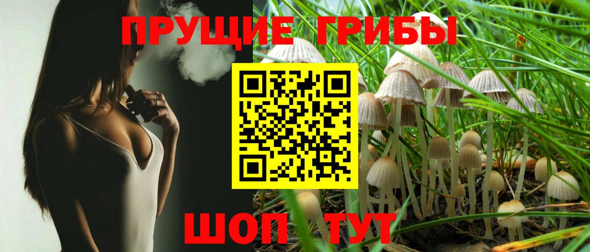 Галлюциногенные грибы мицелий Кириши