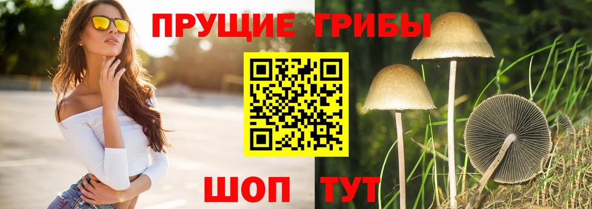купить наркотик  Вход с VPN  Псилоцибиновые грибы Magic Shrooms  Кириши  Галлюциногенные грибы ЛСД 